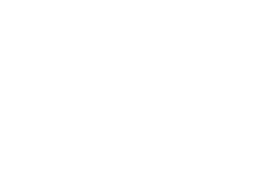 Brandt Logo