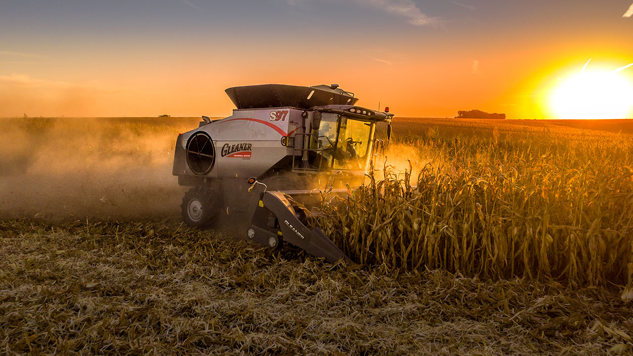 Gleaner combine harvesting 