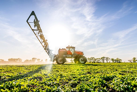 Massey Ferguson Sprayer in green field